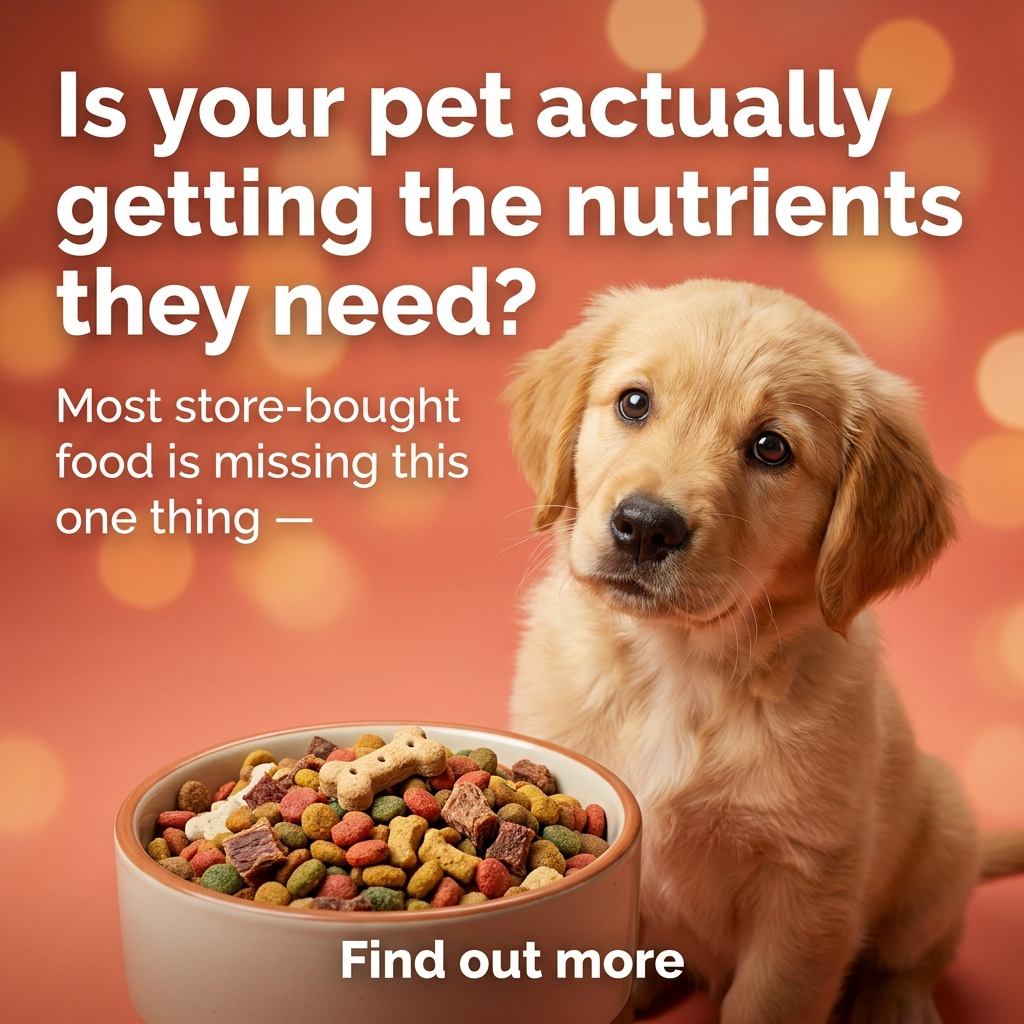 Banner Ad